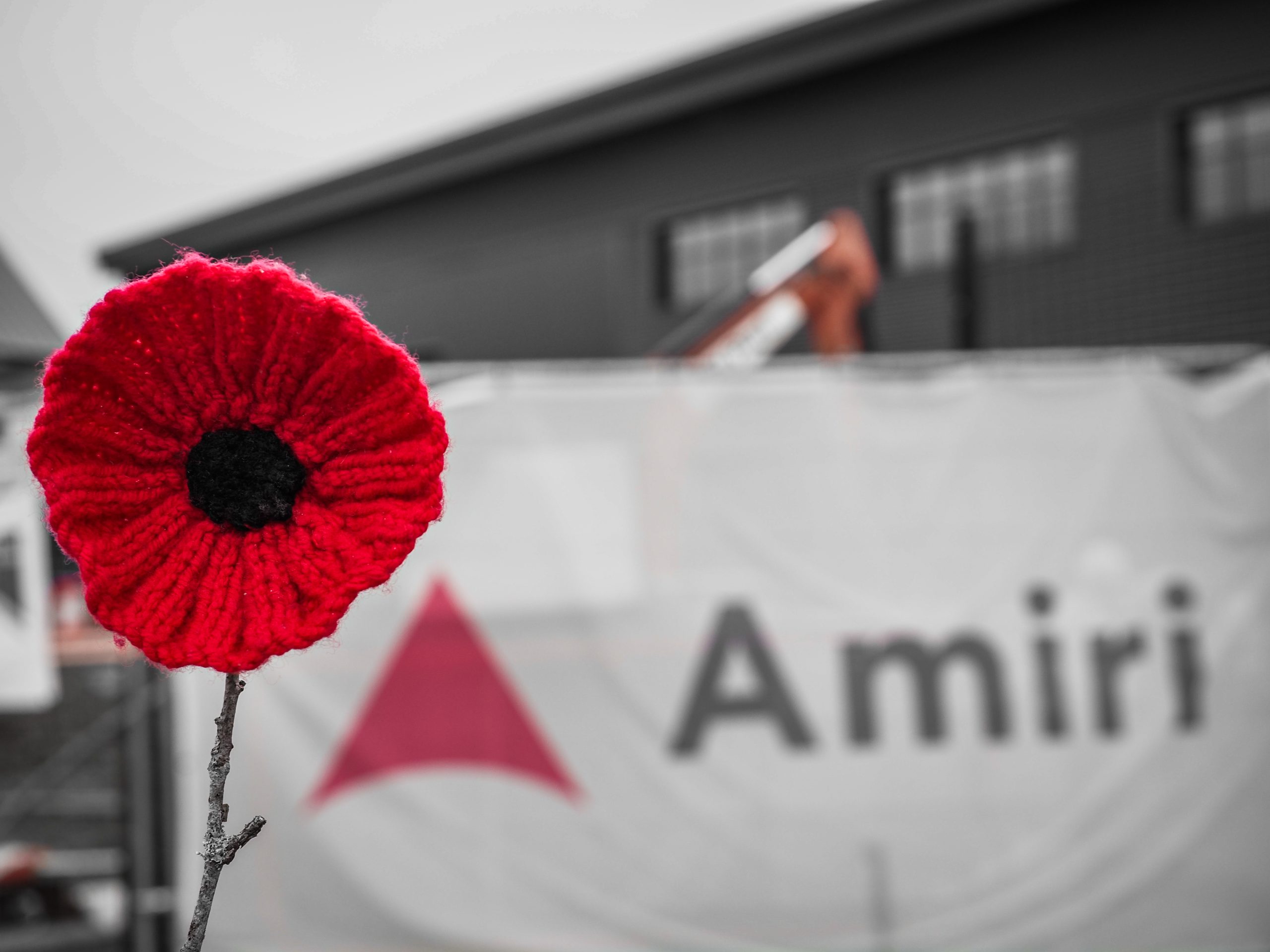 Remembrance Day