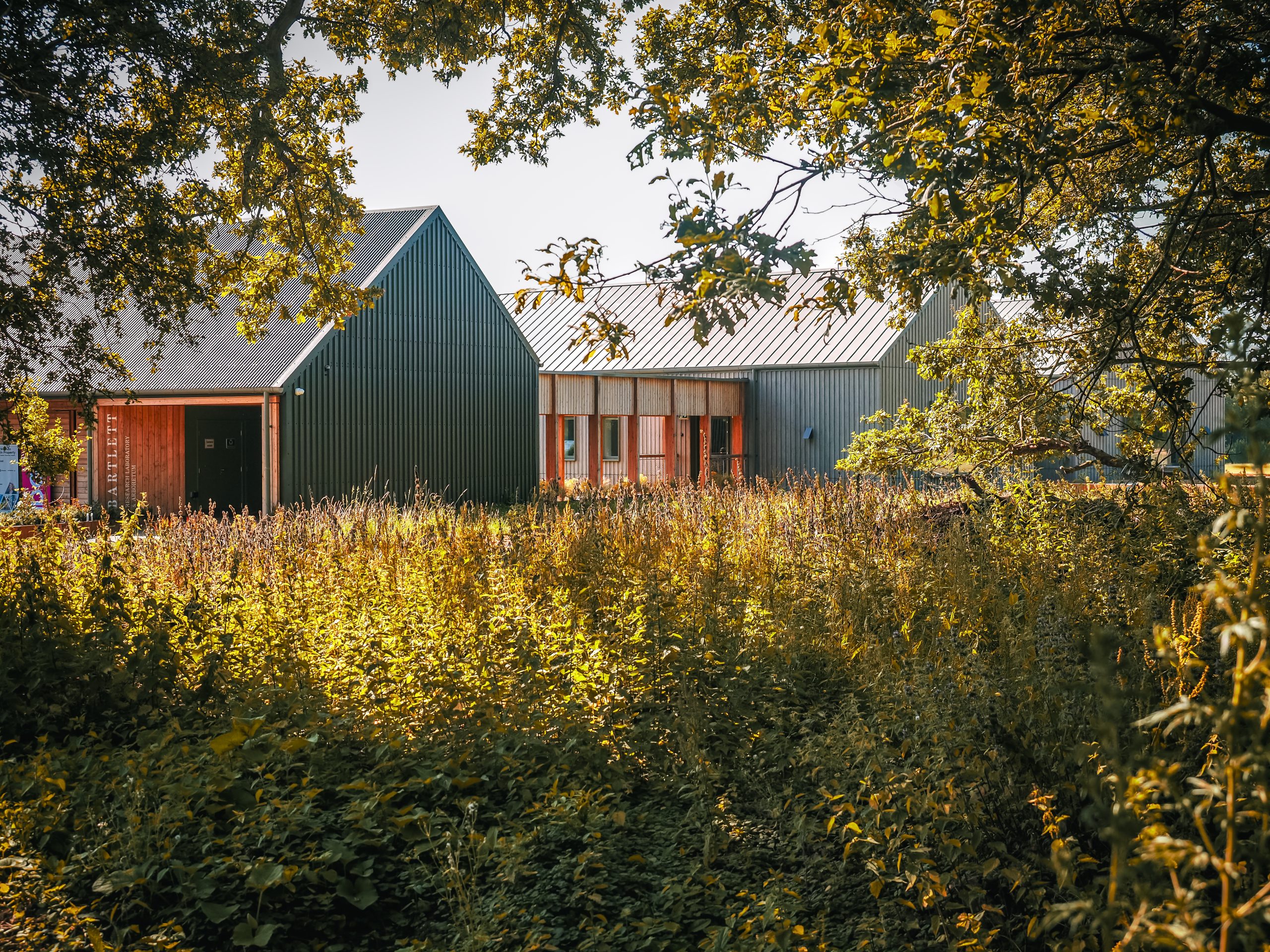 Completion of Bartlett Arboretum