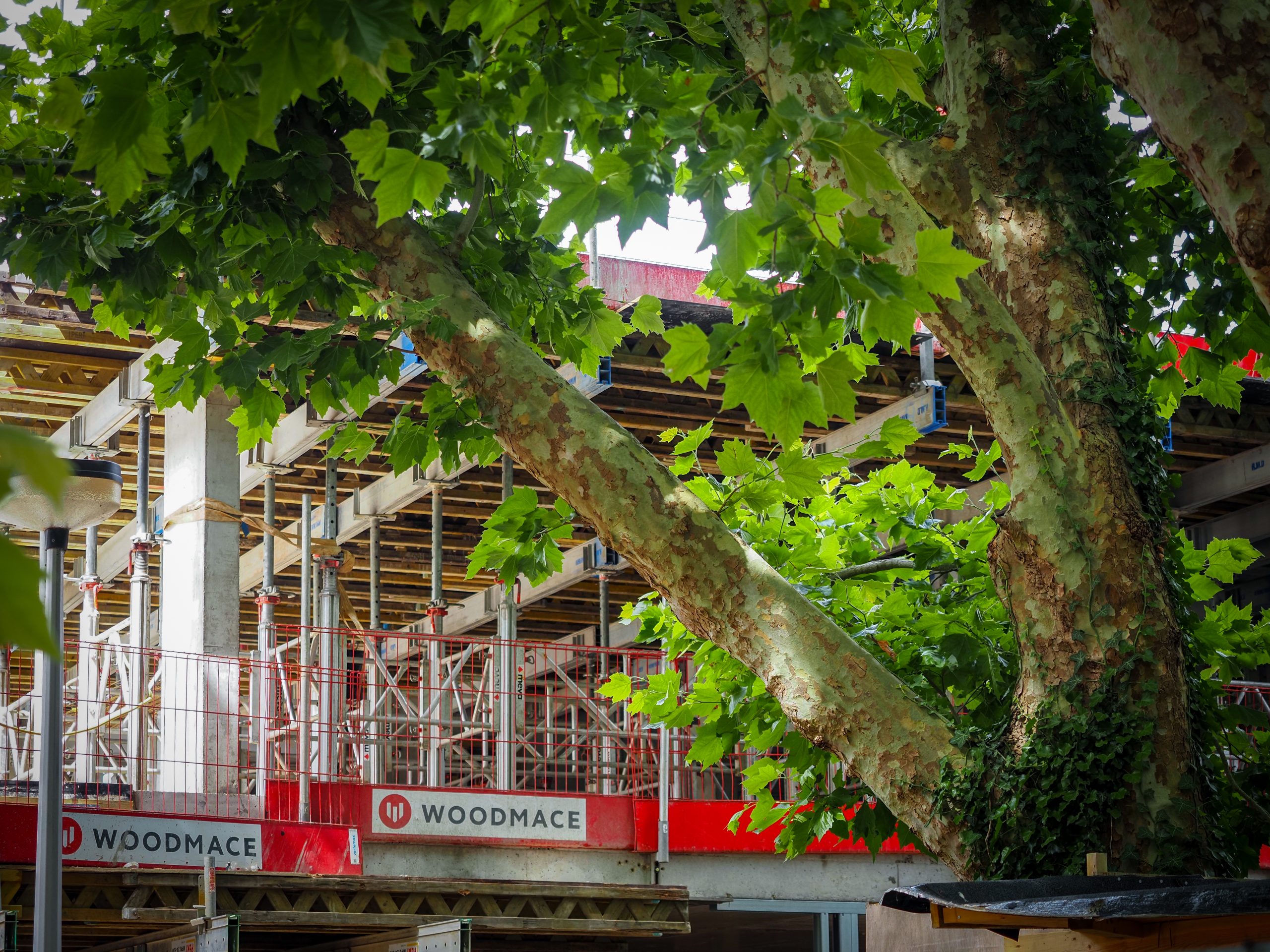 The only way is up – Hearth House